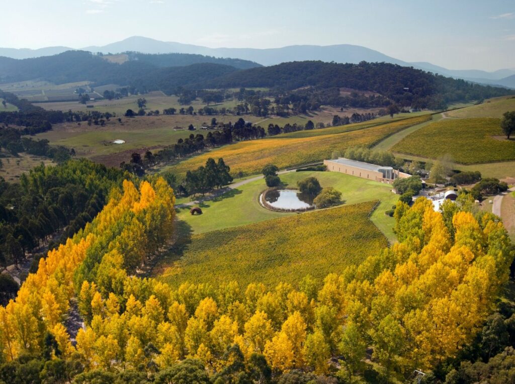 TarraWarra Museum of Art, Photo: John Gollings