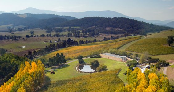 TarraWarra Museum of Art, Photo: John Gollings