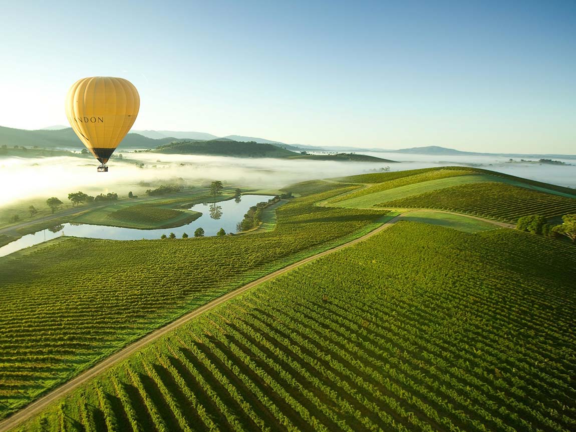 Hot air balloon over the Yarra Valley