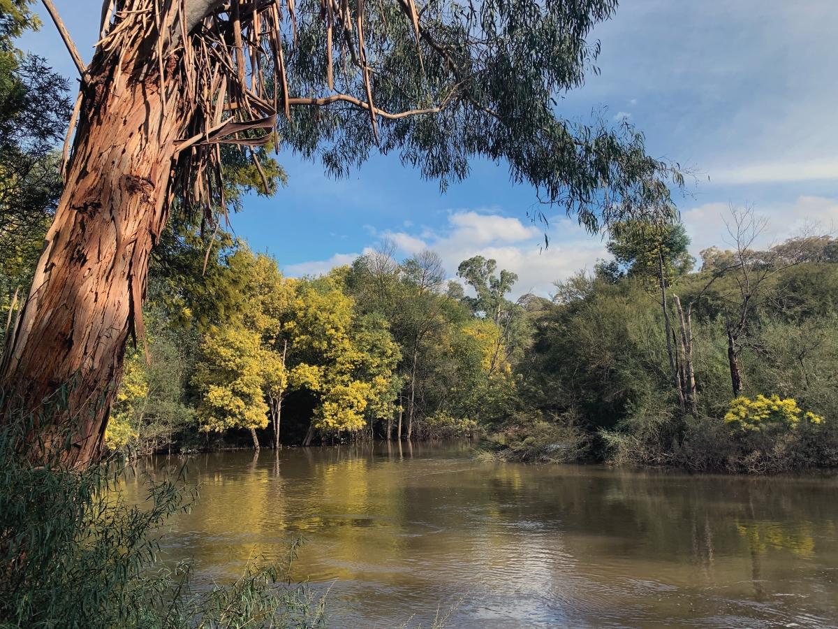 A photo of the Birrarung